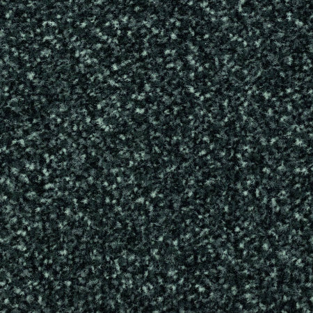 Schmutzschleuse Coral Classic 4701 anthrazit, Grösse 55 x 90 cm