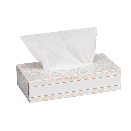 Kosmetiktüchlein - Tork - Facial tissue 2-lagig, weiss (Karton à 40 Boxen)