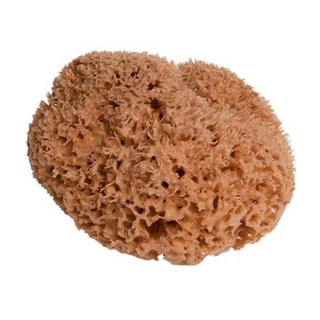 Naturschwamm "Honeycomb" klein Grösse 12.5 - 14 cm