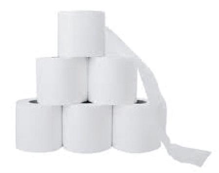Soft Toilettenpapier 2lagig Zellstoff Pack à 10 x 6 = 60 Rollen à 250 Blatt